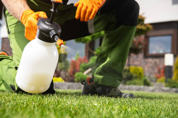 Best Insect Control  in Stewartville, MN