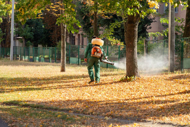 Best Commercial Pest Control Services  in Stewartville, MN